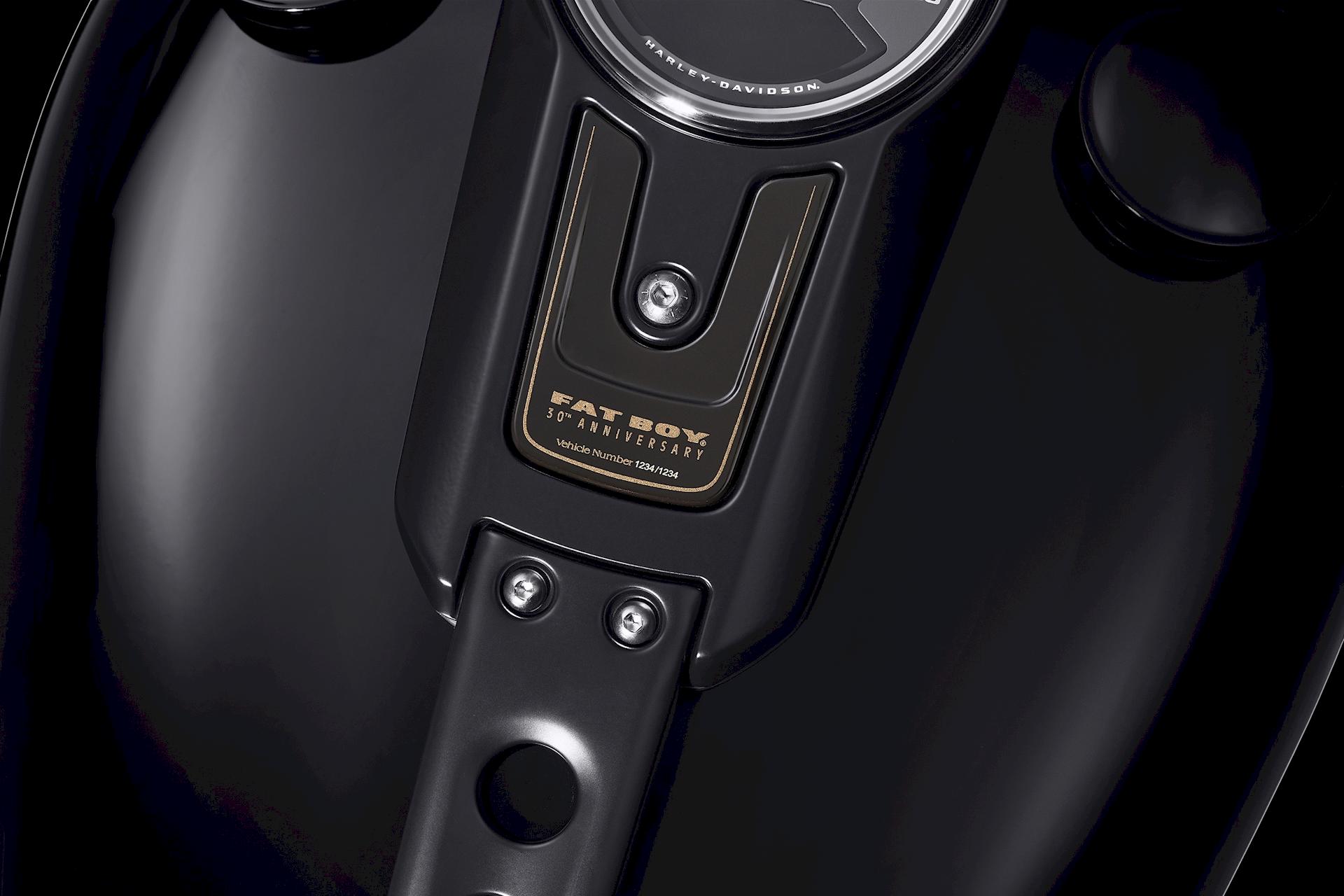 Harley-Davidson FLFBS ANV Fat Boy 30th Anniversary Limited Edition