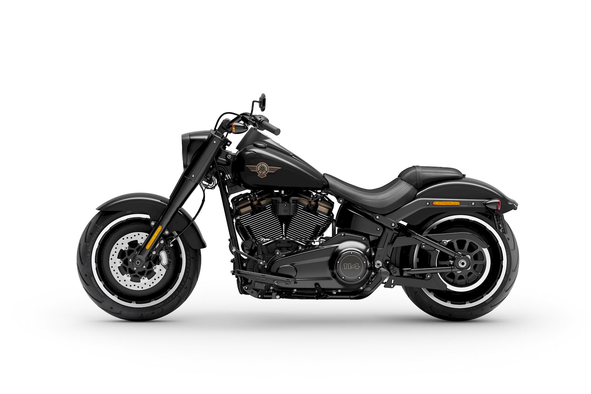 Harley-Davidson FLFBS ANV Fat Boy 30th Anniversary Limited Edition
