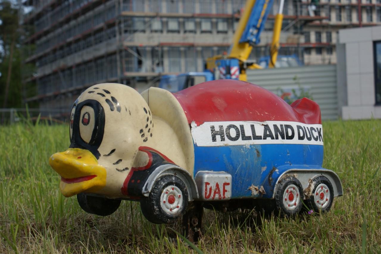  holland duck