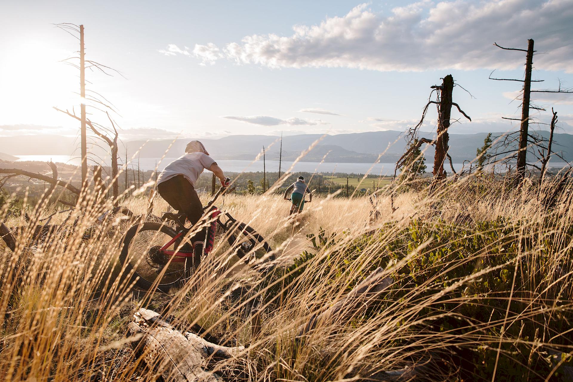 Mobilità urbana sostenibile