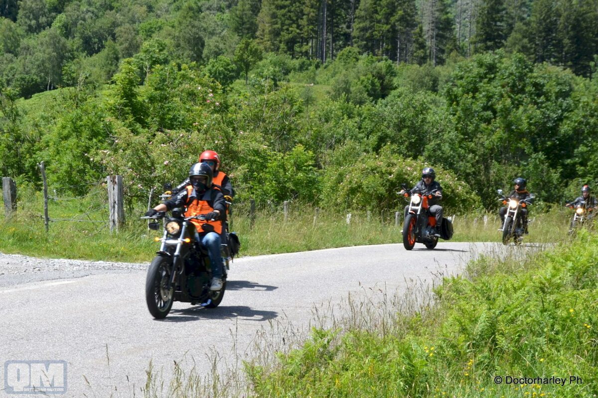 Sporty Liberation Run 2020