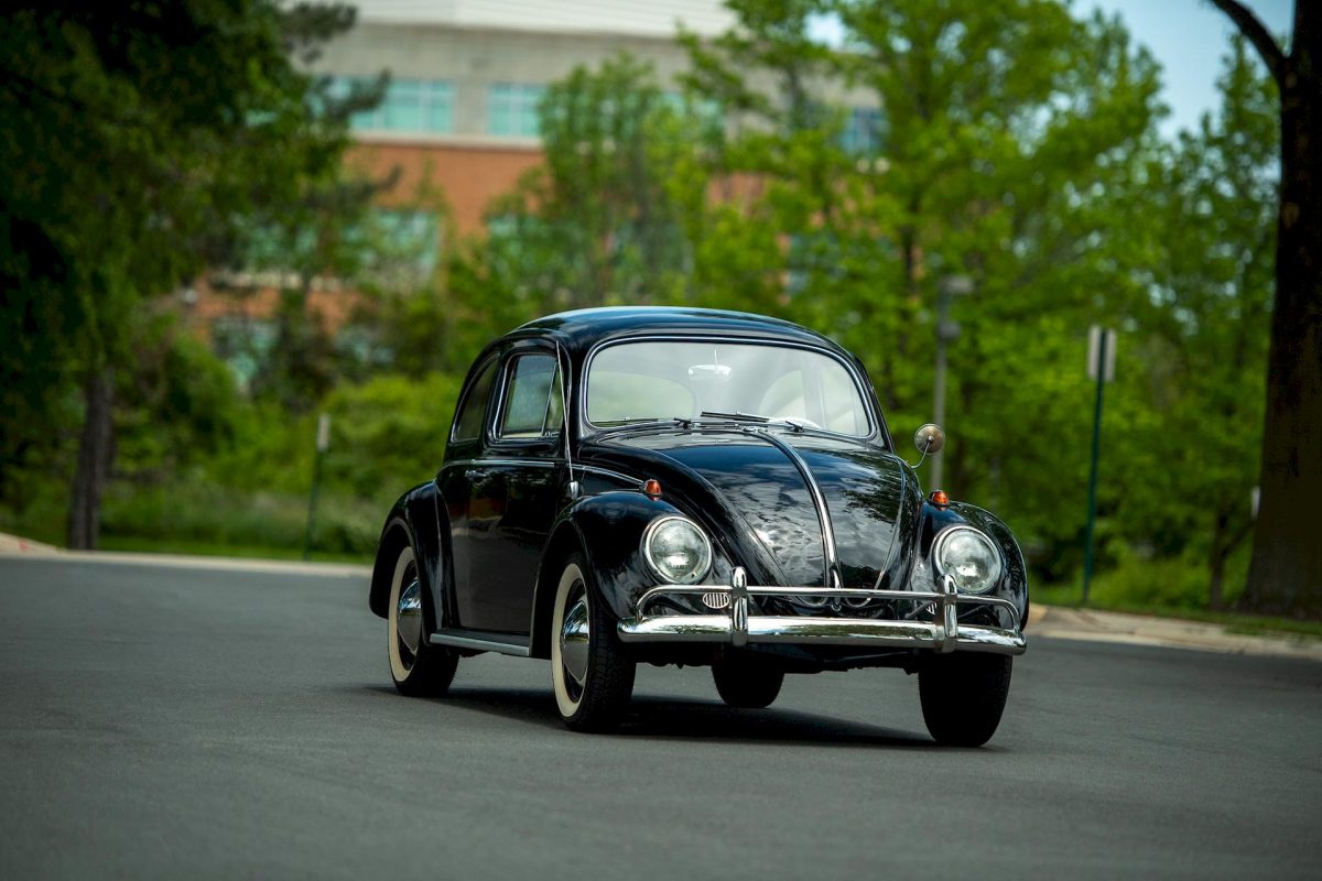 Volkswagen Maggiolone Max