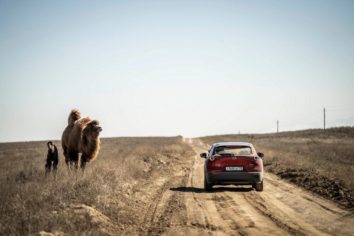 Viaggio Kazakistan on the road