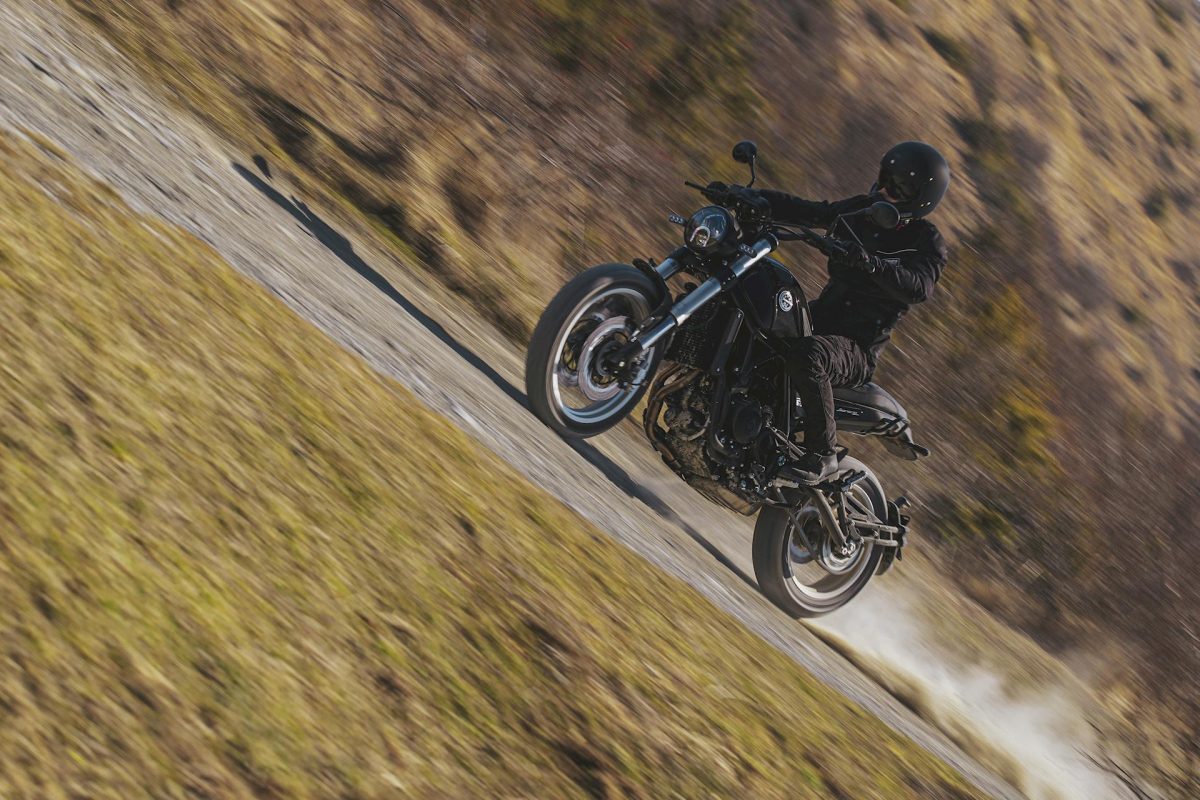 Benelli Leoncino Trail