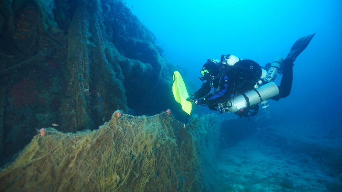 Hyundai Healthy Seas