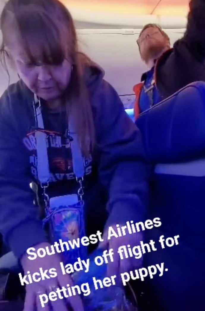 donna aereo cucciolo