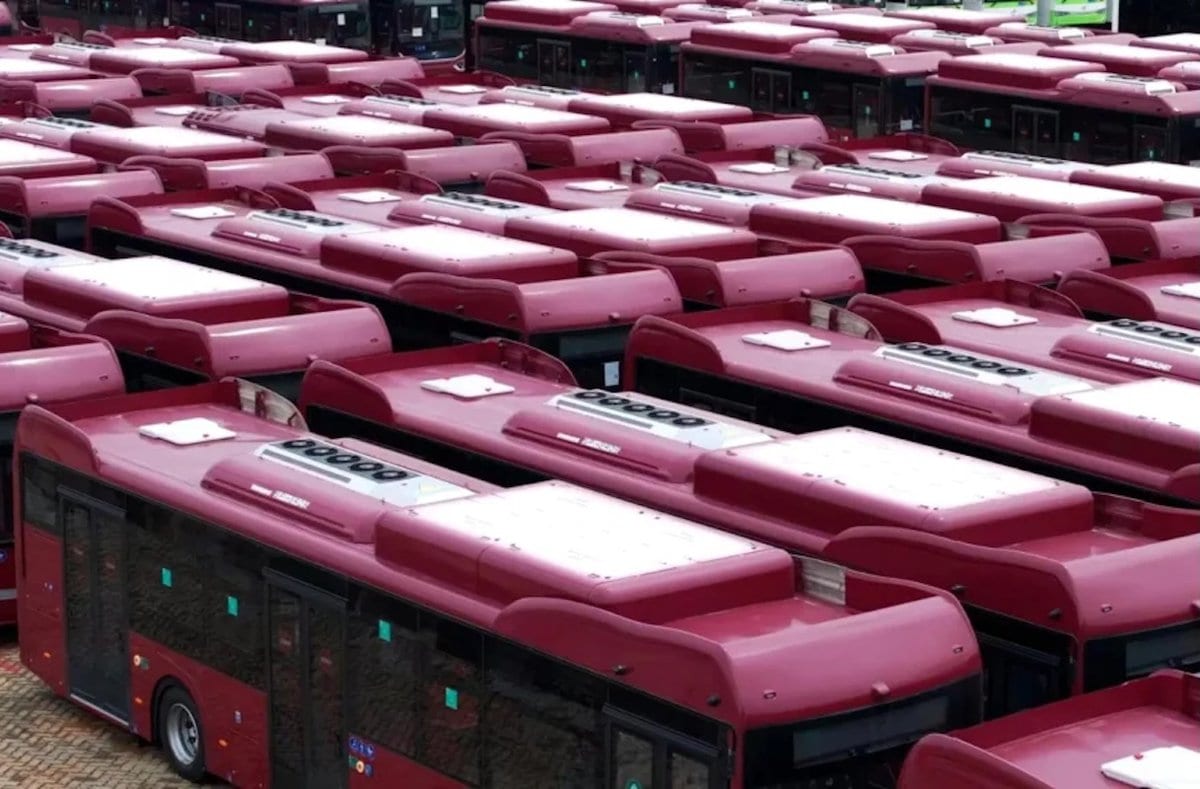 flotta bus elettrici roma