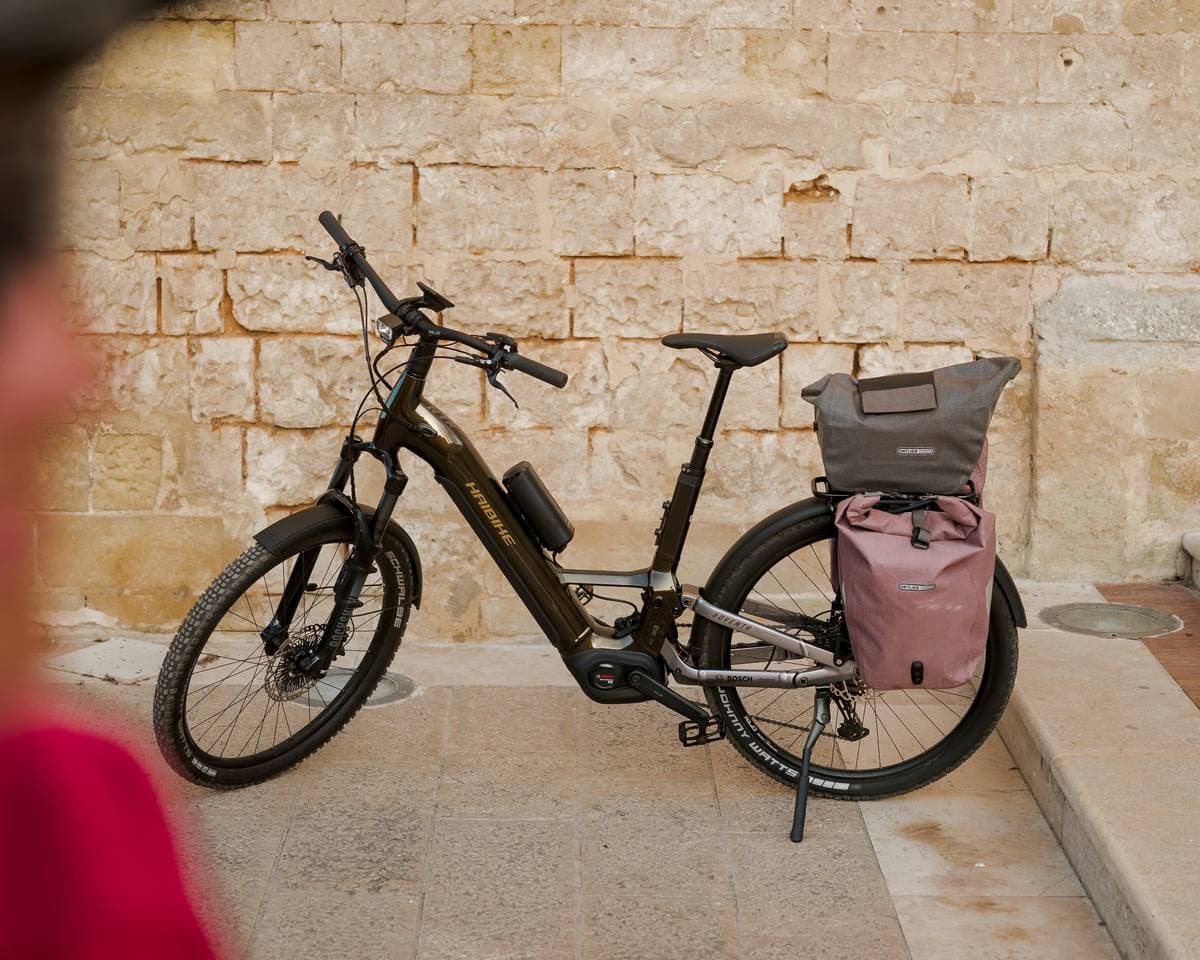 Combina la robustezza di una e-bike da trekking con il massimo comfort