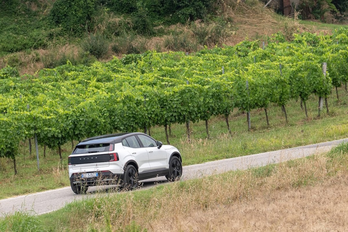 Volvo EX30 Cross Country MY26 elettrica in movimento su strada panoramica tra i filari di vite.