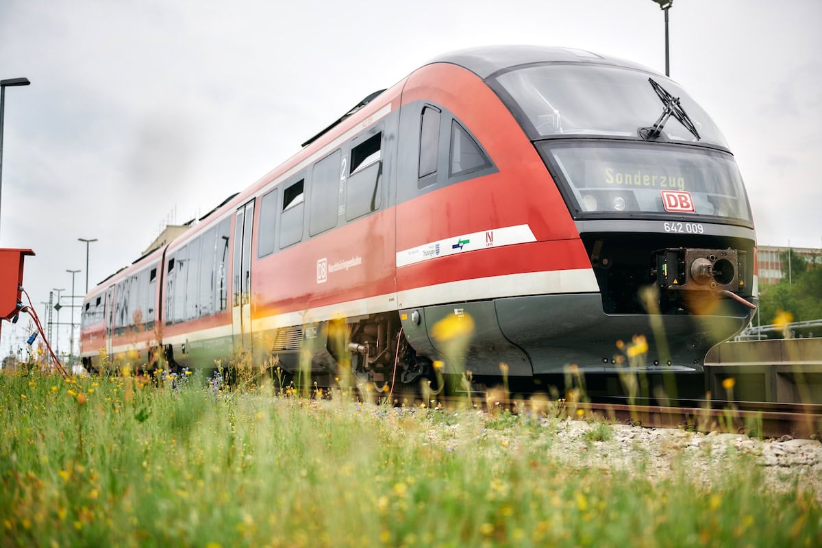 Un treno rosso della Deutsche Bahn, con la scritta "Sonderzug" sul display frontale, è fermo su un binario accanto a un prato fiorito, in una stazione ferroviaria tedesca.