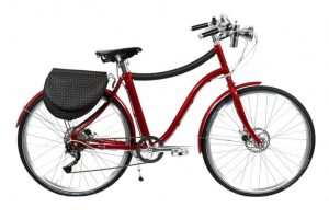 Petrini Cicli e-bike Pollini
