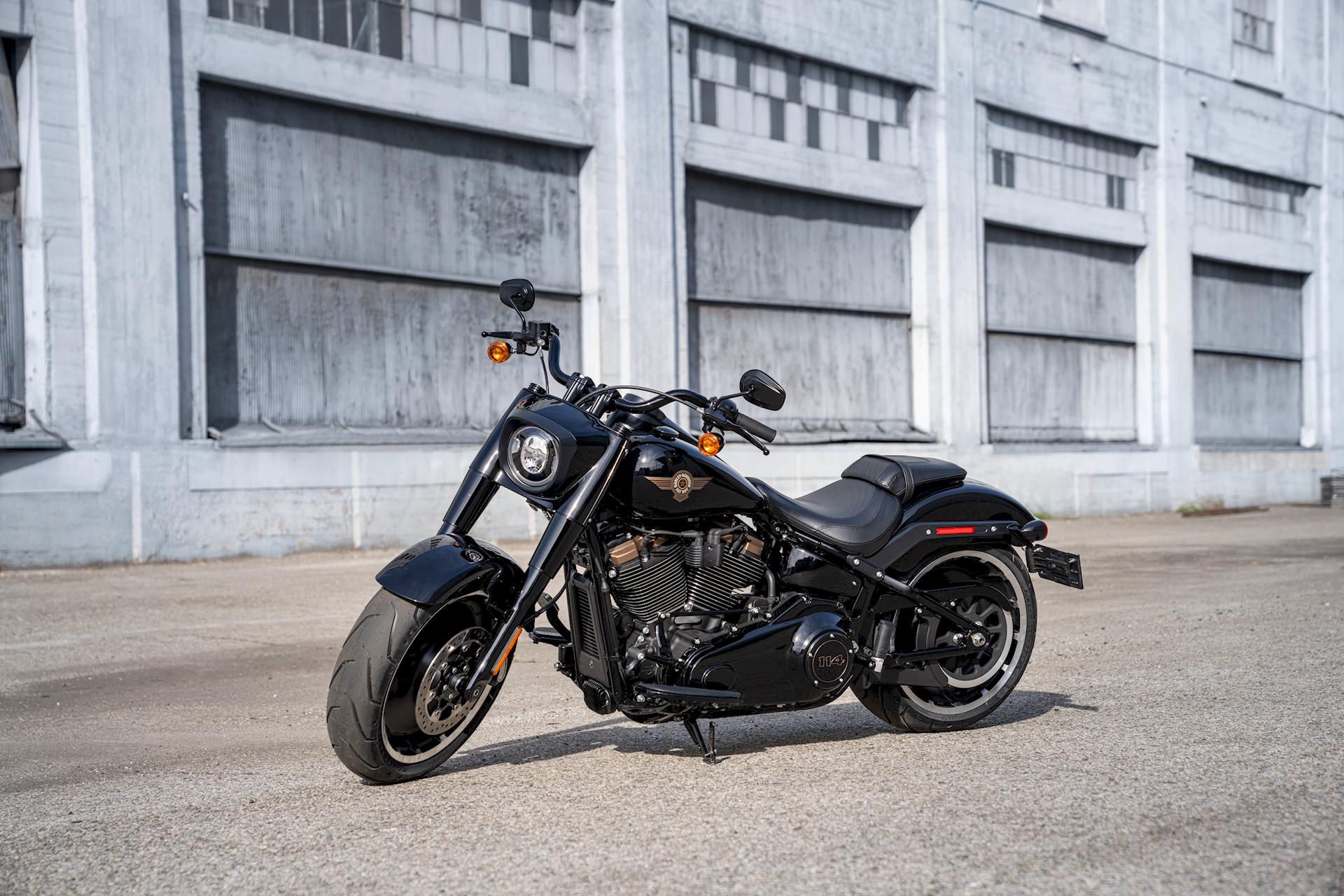 Harley-Davidson FLFBS ANV Fat Boy 30th Anniversary Limited Edition