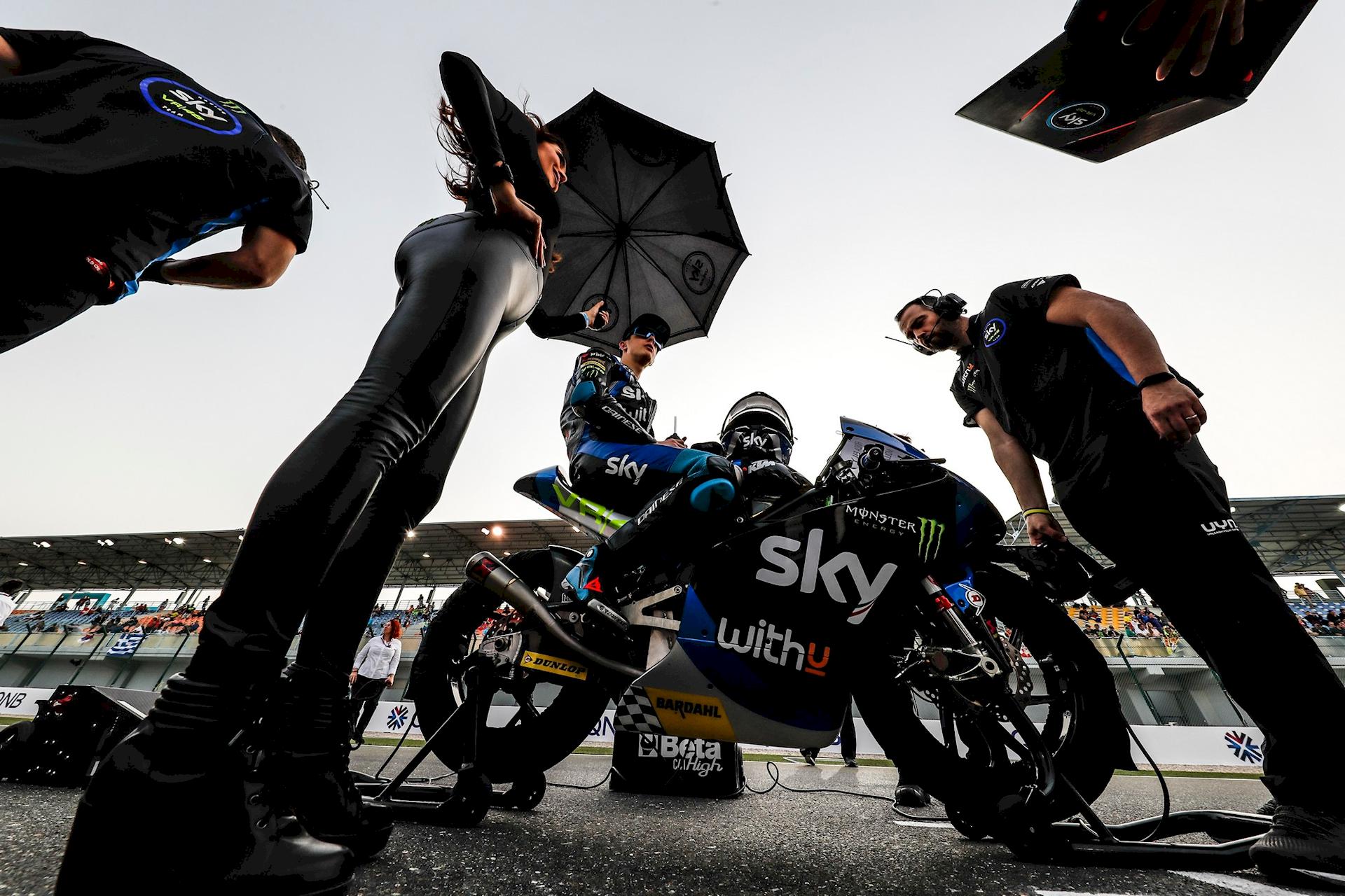 Paddock Girls Qatar 2020