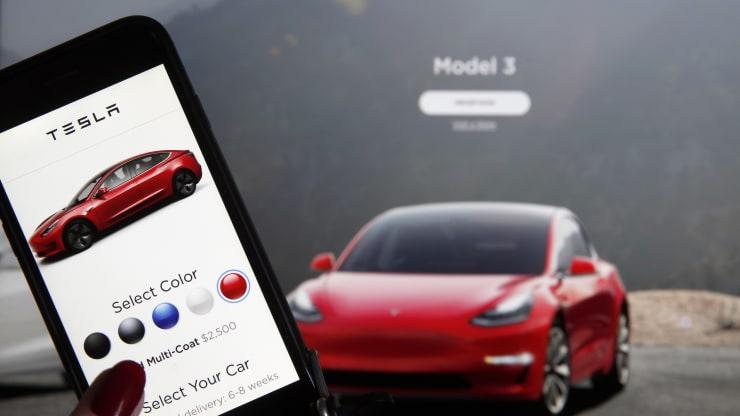 Tesla Owner