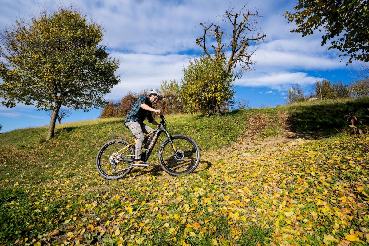 https://www.bergamont.com/it/it/products/bergamont-bikes-eperformance-erevox