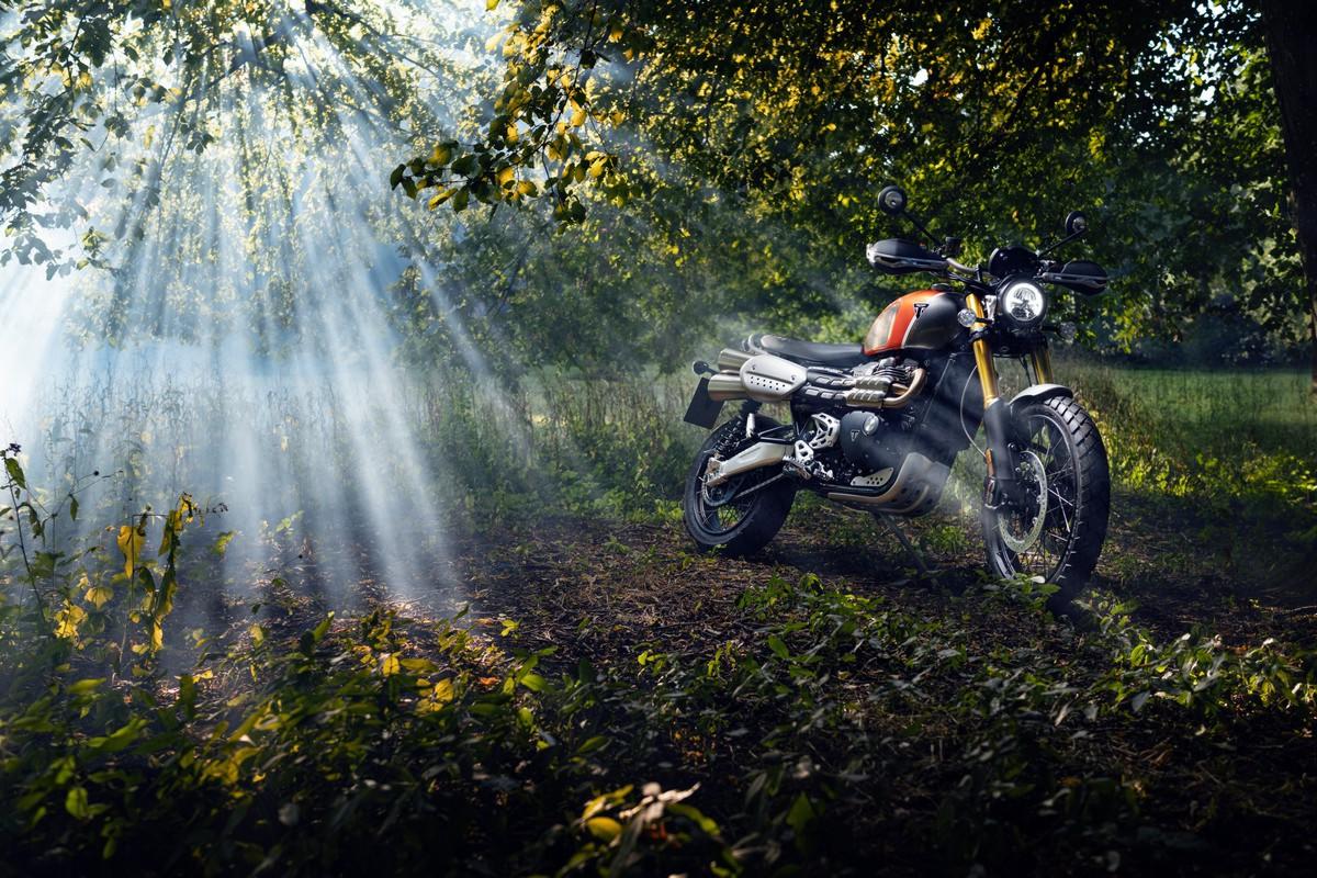 Triumph Bonneville Gold Line Edition 2022