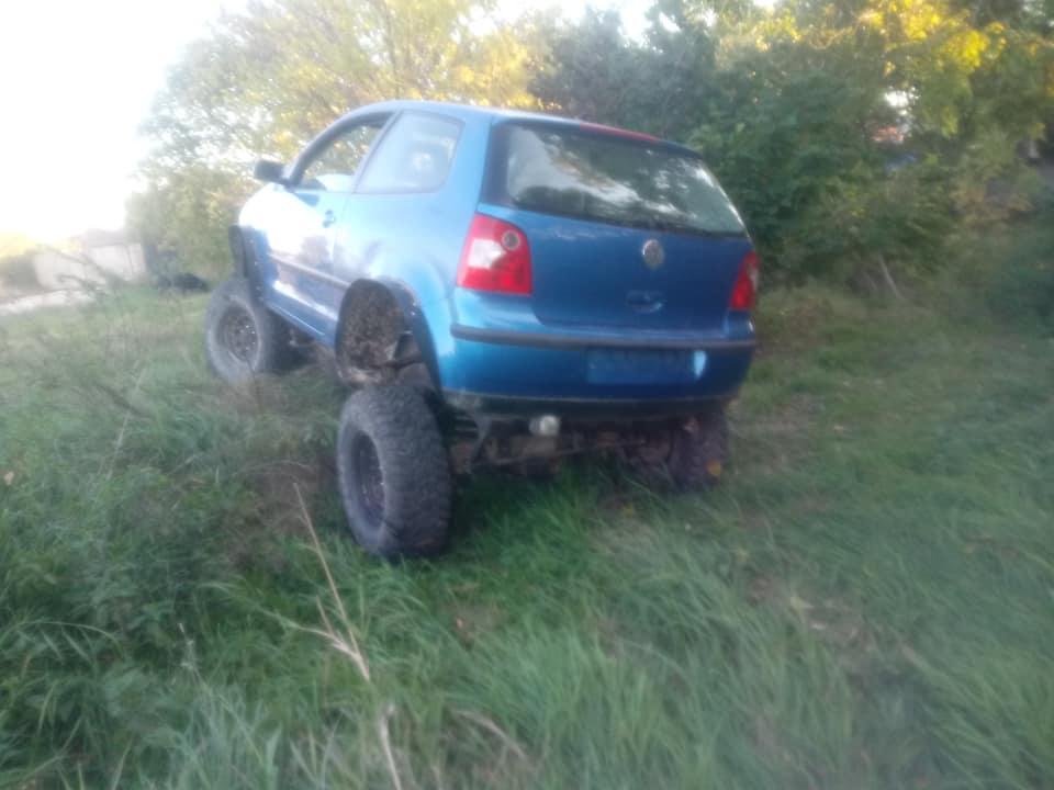 Polo Terrano
