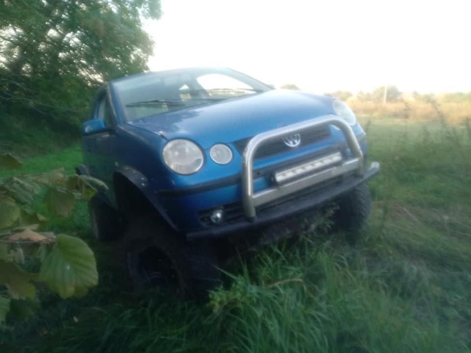 Polo Terrano