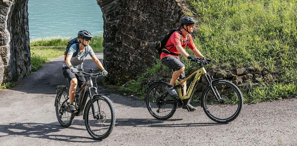 E-Bike Flyer Goroc