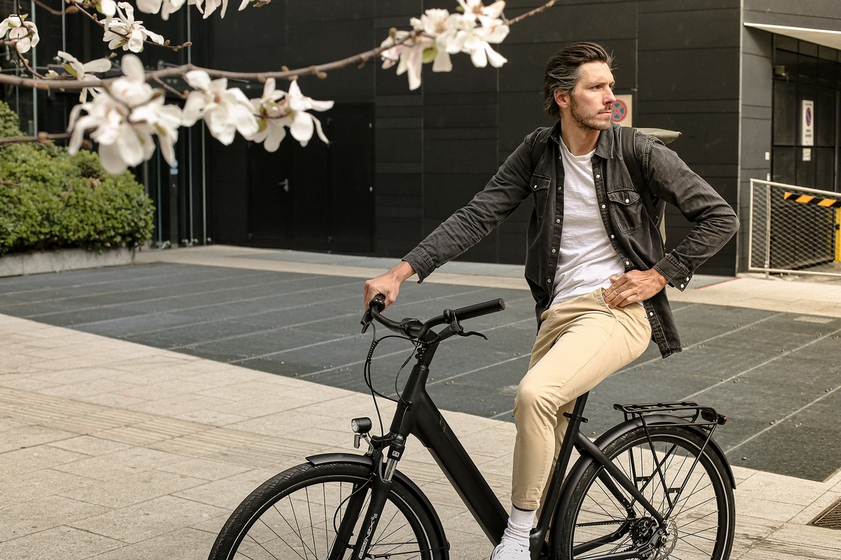 Bici elettrica Tenways CGO800S