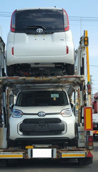 toyota panda bisarca