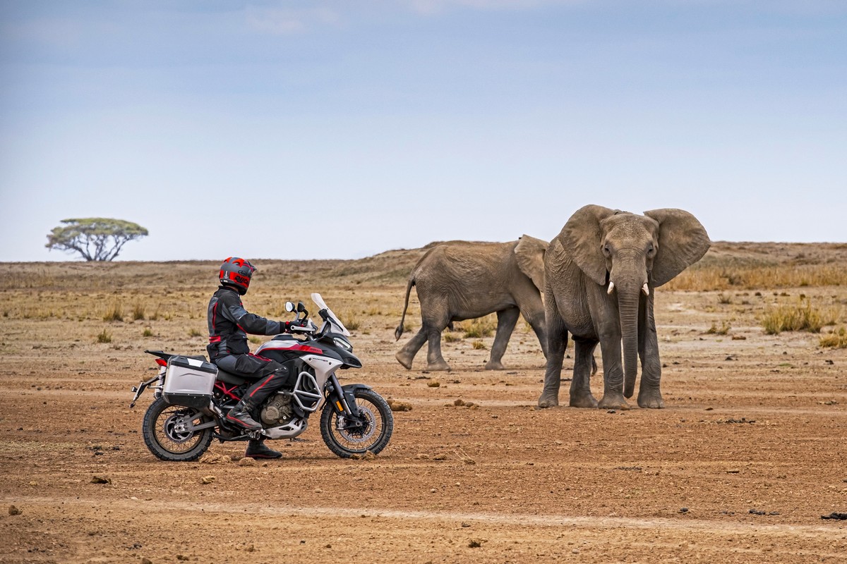 Ducati Multistrada V4 Rally