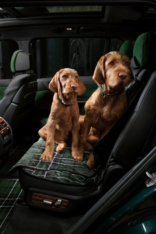 BMW X7 xDrive40d by Poldo Dog Couture