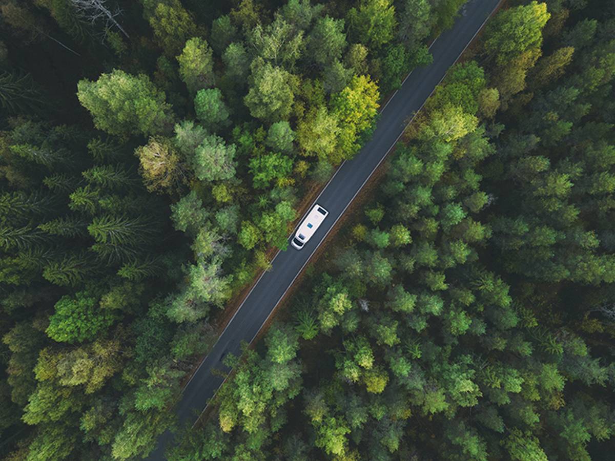 Camper nella foresta