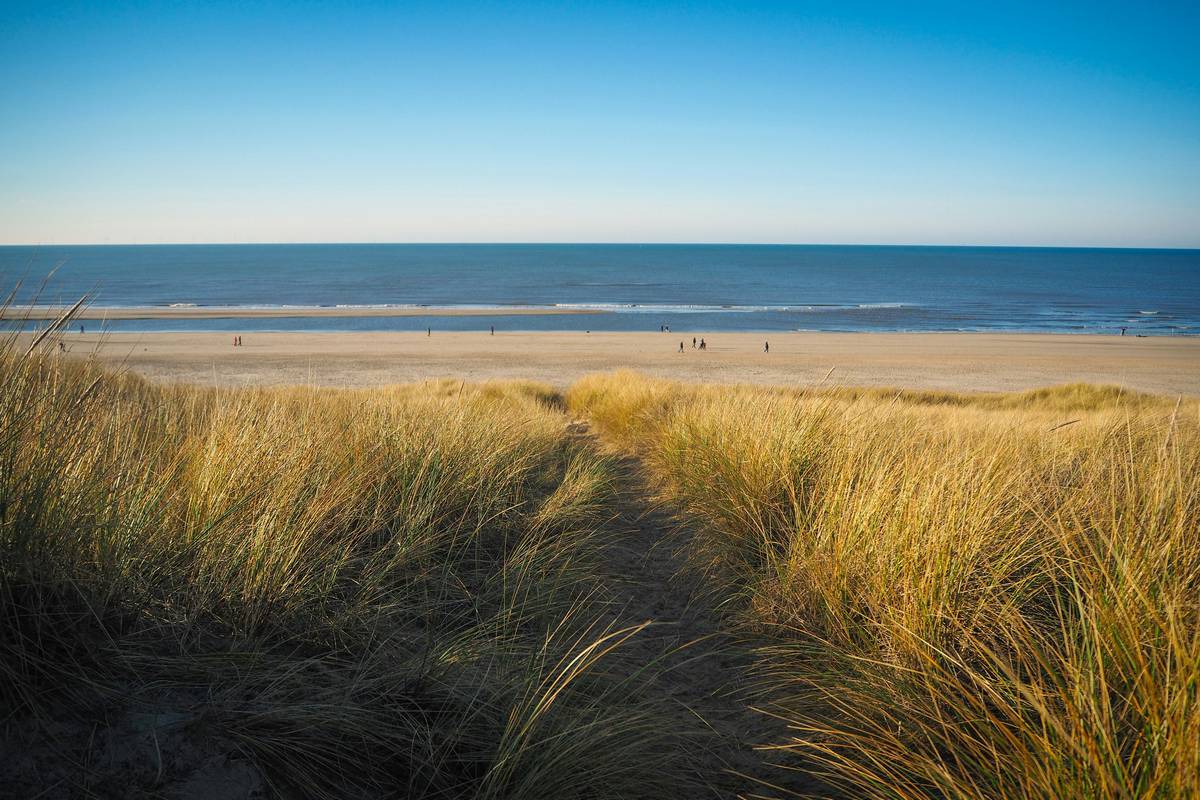 Situata lungo la costa settentrionale olandese, Egmond aan Zee è una tranquilla cittadina affacciata sul Mare del Nord