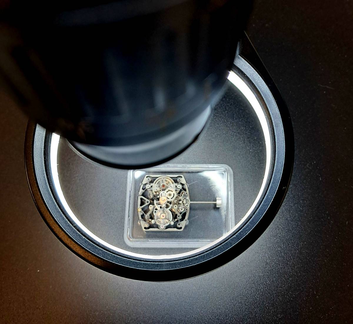 Watches of Italy 2025 Milano