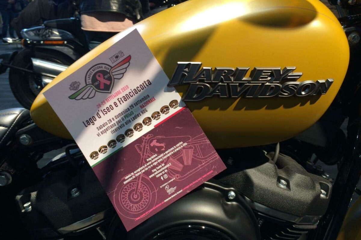 Ladies National Run 2019