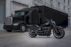 Harley-Davidson FLFBS ANV Fat Boy 30th Anniversary Limited Edition