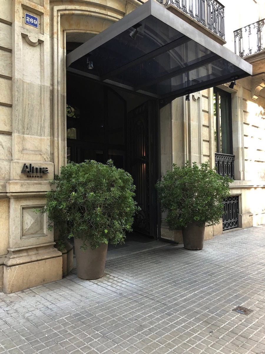 alma barcellona